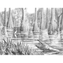 Под крыльцом