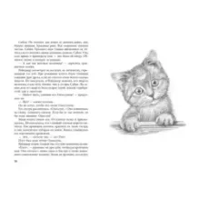 Под крыльцом