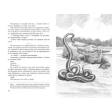 Под крыльцом