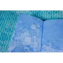 Господин Тигр, Бетси и золотой морской конёк