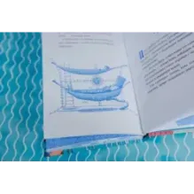 Господин Тигр, Бетси и золотой морской конёк