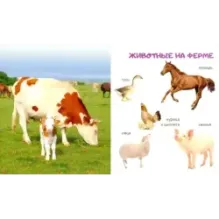 Животные