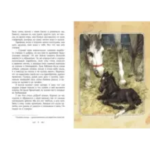 Черный красавец