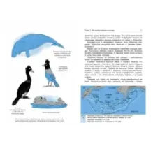 Как открывали Землю