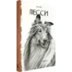 Лесси Лесси