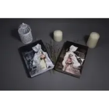 Крошка Доррит. Комплект из 2-х книг. Бедность. Богатство