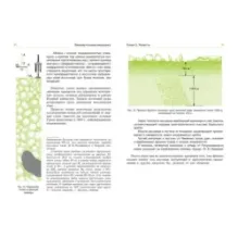 Занимательная механика