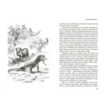 Рожденная свободной