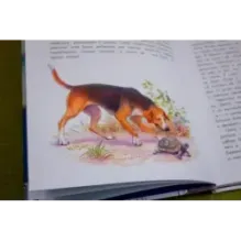 Прыжок. Рассказы, сказки, басни