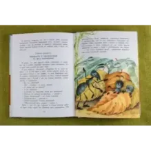 Баранкин, будь человеком