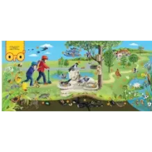 Природа в городе