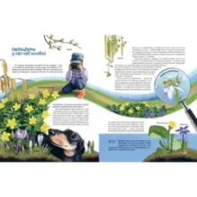 Природа в городе