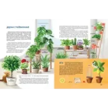 Природа в городе