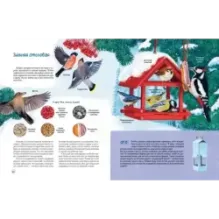 Природа в городе