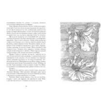 Дорога через зиму