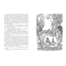 Дорога через зиму