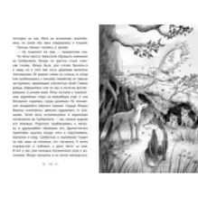 Чудесное спасение