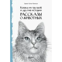 Кошка из трущоб и другие истории