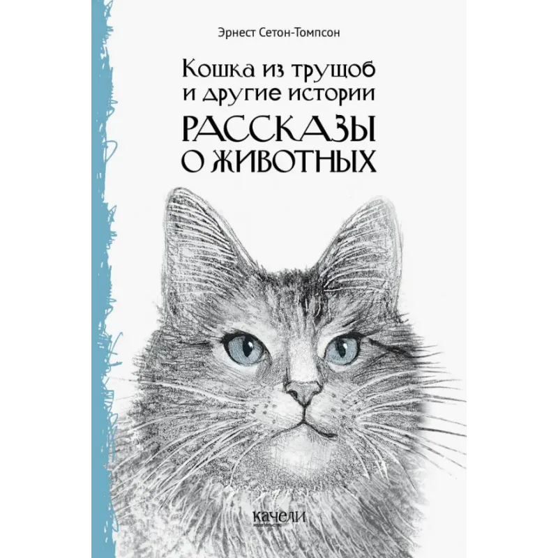 Кошка из трущоб и другие истории Кошка из трущоб и другие истории