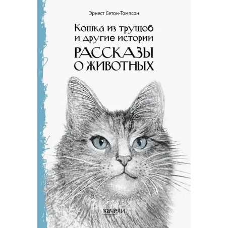 Кошка из трущоб и другие истории