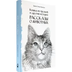 Кошка из трущоб и другие истории