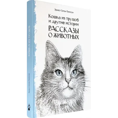 Кошка из трущоб и другие истории