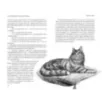 Кошка из трущоб и другие истории Кошка из трущоб и другие истории