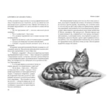 Кошка из трущоб и другие истории