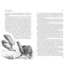 Кошка из трущоб и другие истории