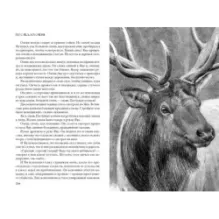 Кошка из трущоб и другие истории