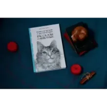 Кошка из трущоб и другие истории