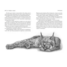 Рисса. Повесть о рыси. Большой Уг. Повесть о лосе