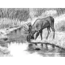 Рисса. Повесть о рыси. Большой Уг. Повесть о лосе