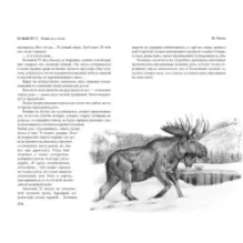 Рисса. Повесть о рыси. Большой Уг. Повесть о лосе