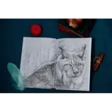 Рисса. Повесть о рыси. Большой Уг. Повесть о лосе