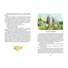 Хайди, или Волшебная долина