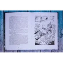 Тайна Соловьиного леса