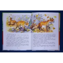 Лисёнок Вук