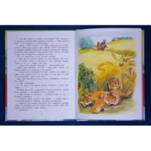 Лисёнок Вук