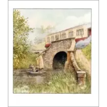 Воришки из Лисьего Леса. Сказки Лисьего Леса