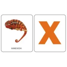 Карточки. Буквы