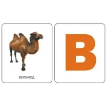 Карточки. Буквы