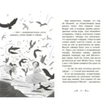 Ледяная радуга