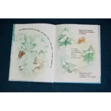 Первый снег