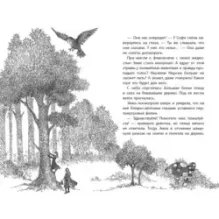 Марсик - звездный волчонок