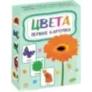 Цвета. Первые карточки