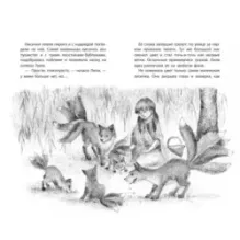 Невидимка - волшебная лисичка