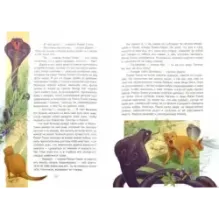 Рикки-Тикки-Тави