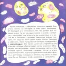 Микробы: соседи-невидимки