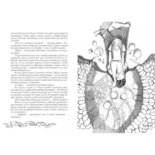 Ледяной сад